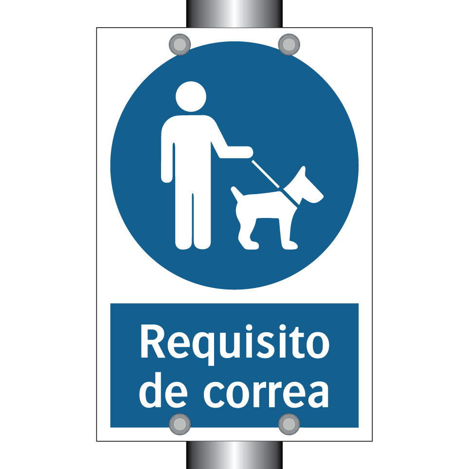 Requisito de correa