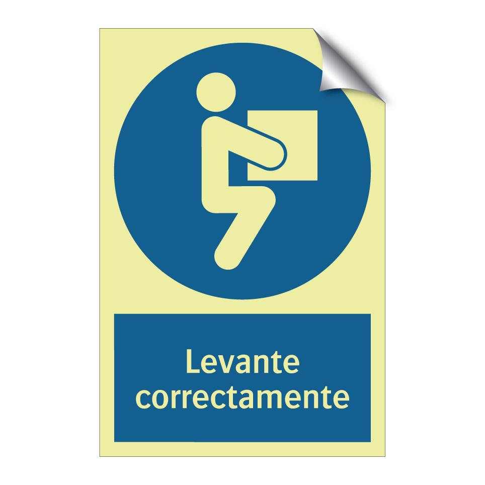 Levante correctamente