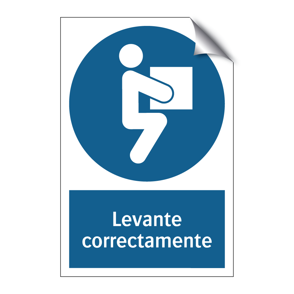 Levante correctamente