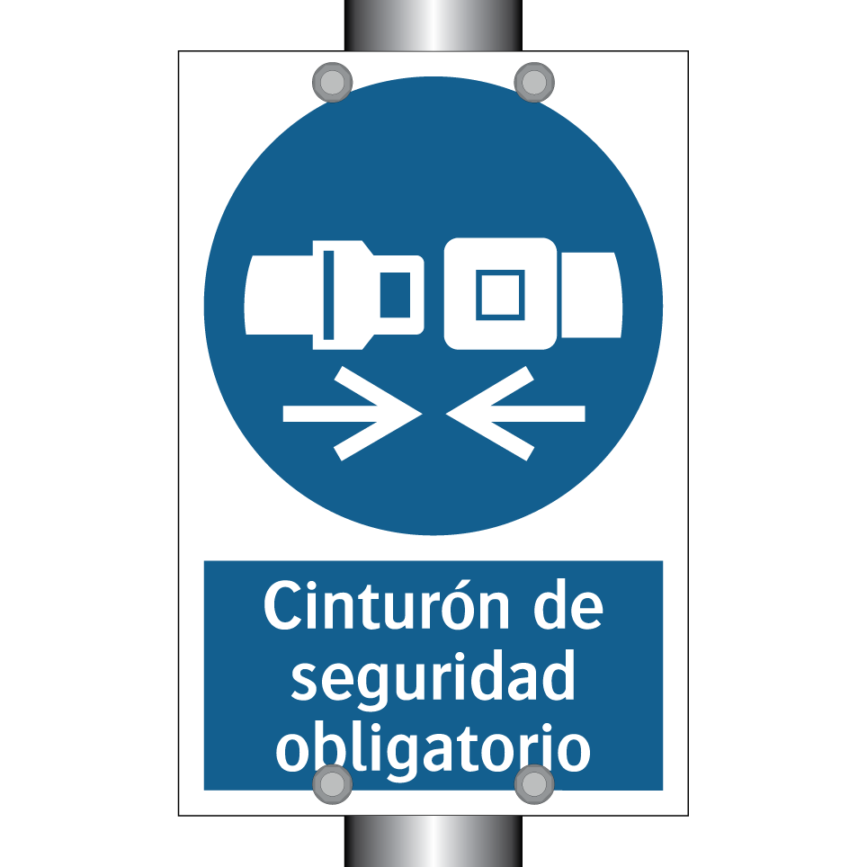 Cinturón de seguridad obligatorio