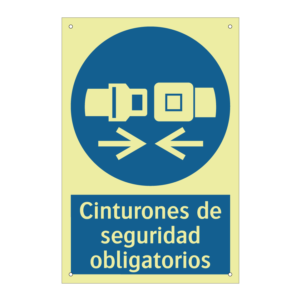 Cinturones de seguridad obligatorios