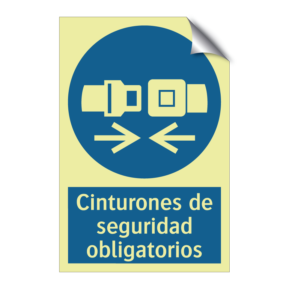 Cinturones de seguridad obligatorios