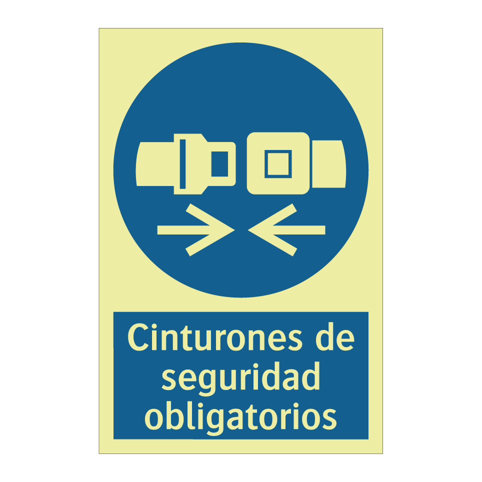Cinturones de seguridad obligatorios