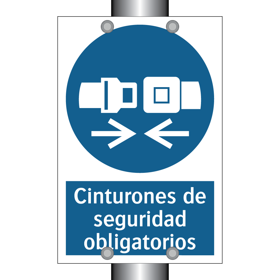 Cinturones de seguridad obligatorios