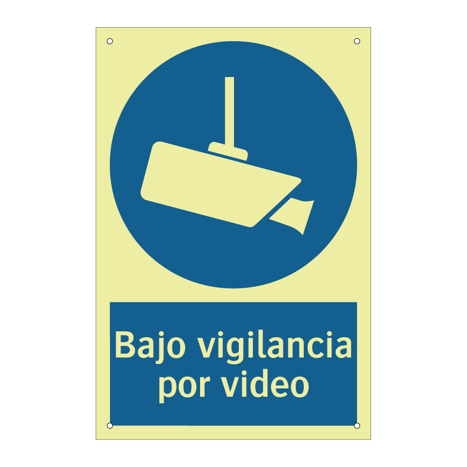 Bajo vigilancia por video
