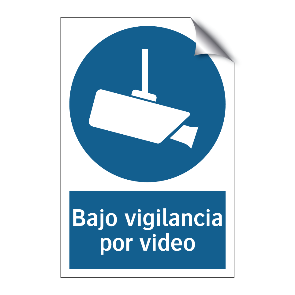 Bajo vigilancia por video
