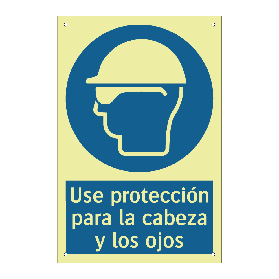 Use protección para la cabeza y los ojos