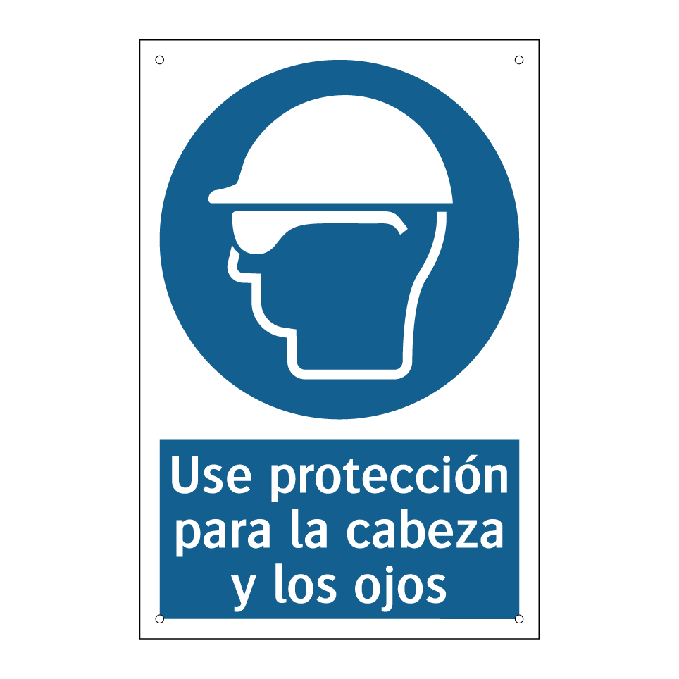 Use protección para la cabeza y los ojos