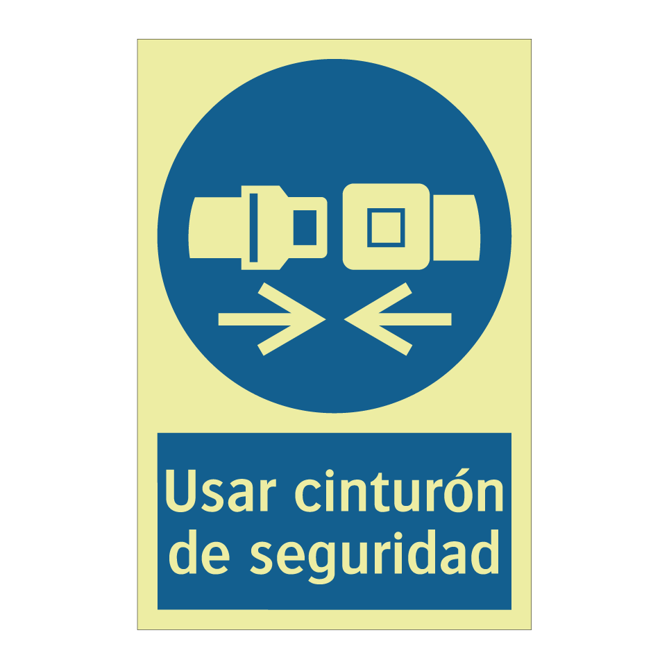Usar cinturón de seguridad
