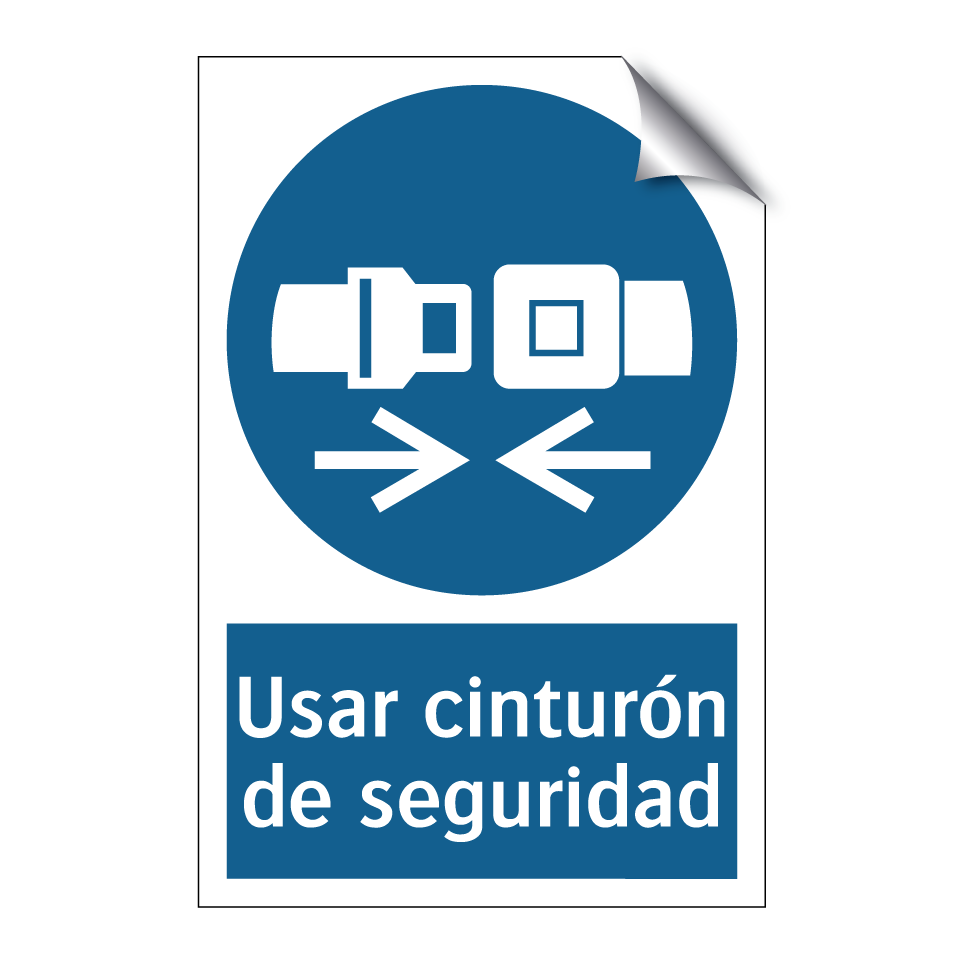 Usar cinturón de seguridad