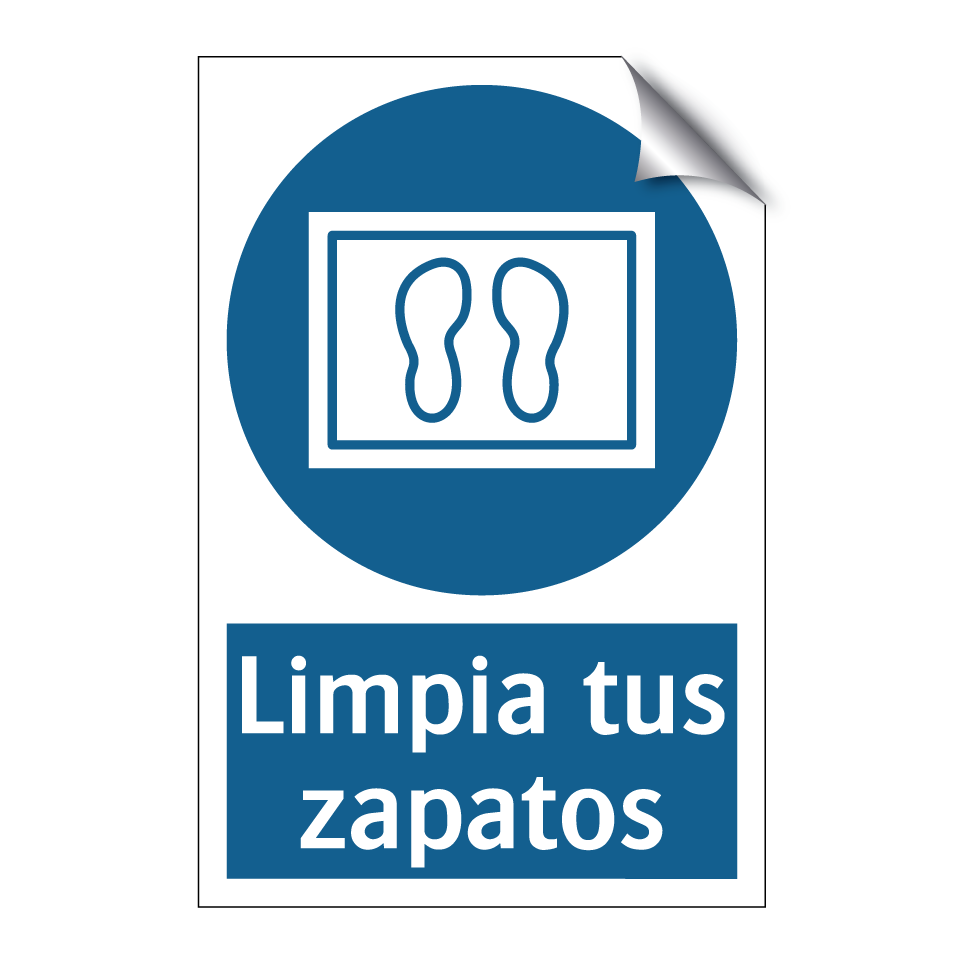 Limpia tus zapatos