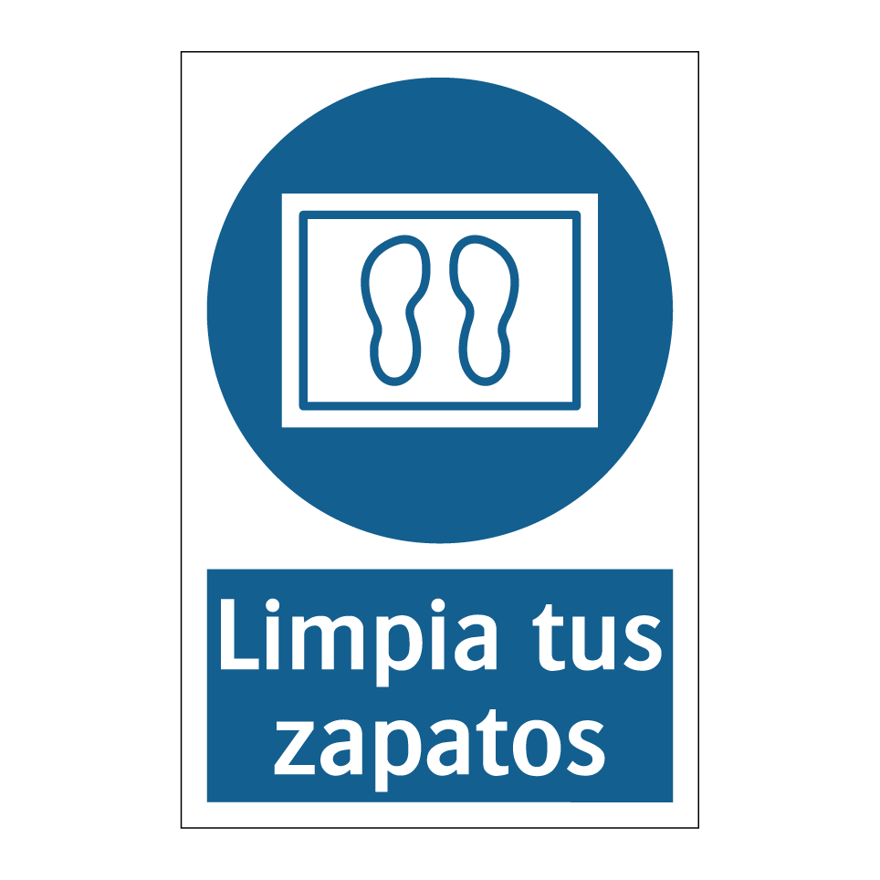 Limpia tus zapatos