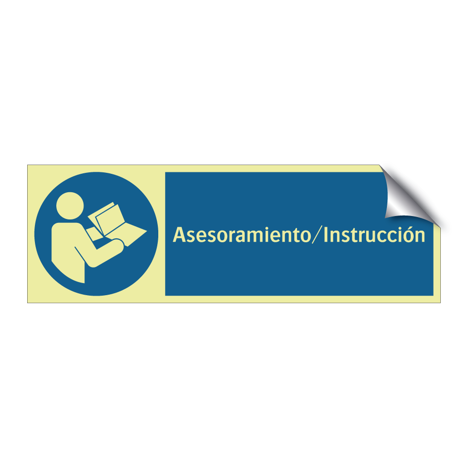 Asesoramiento/Instrucción