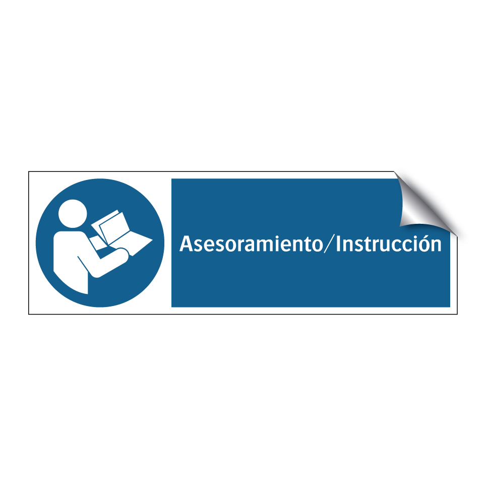Asesoramiento/Instrucción