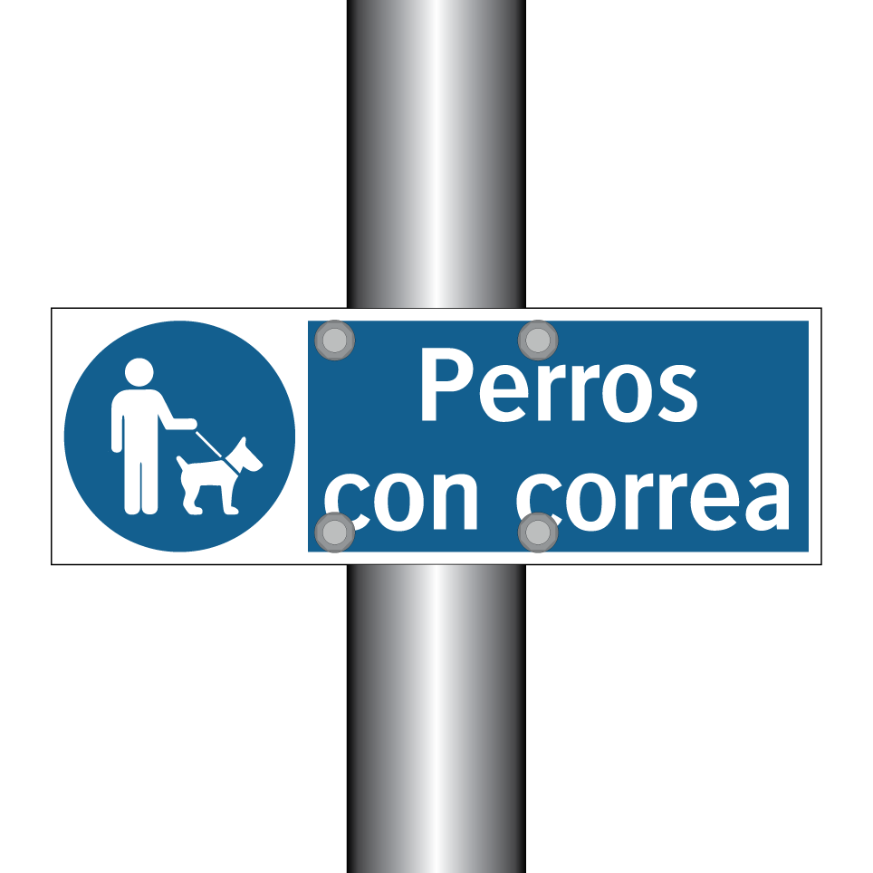 Perros con correa