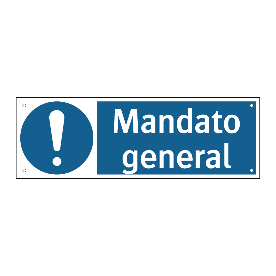 Mandato general