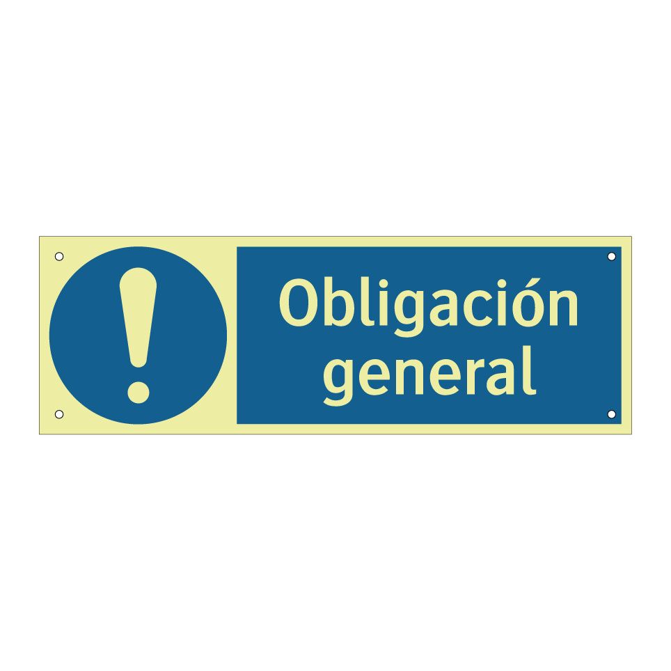 Obligación general