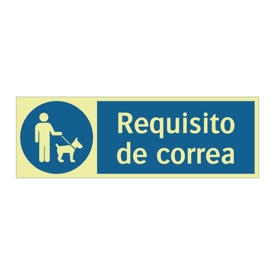 Requisito de correa