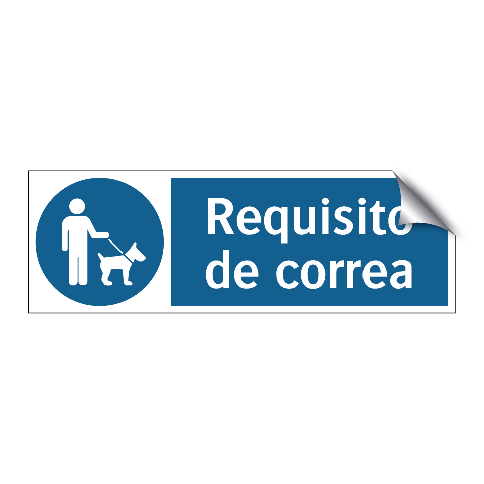 Requisito de correa