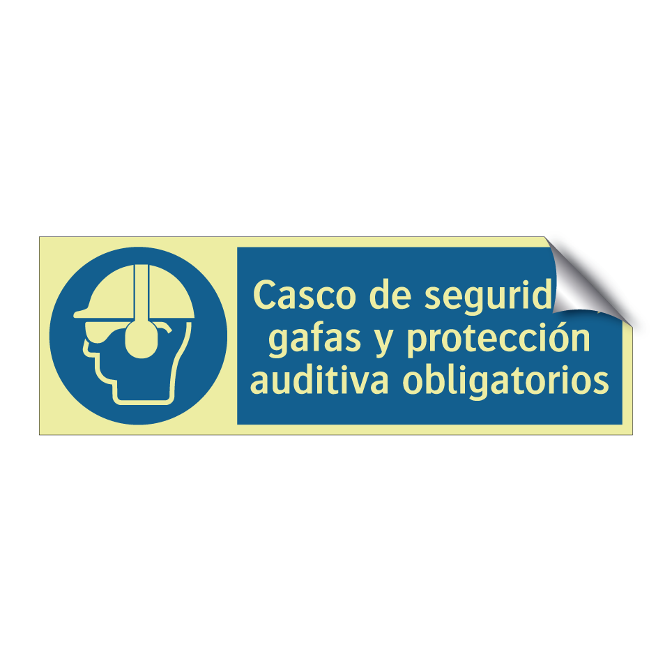 Casco de seguridad, gafas y protección auditiva obligatorios