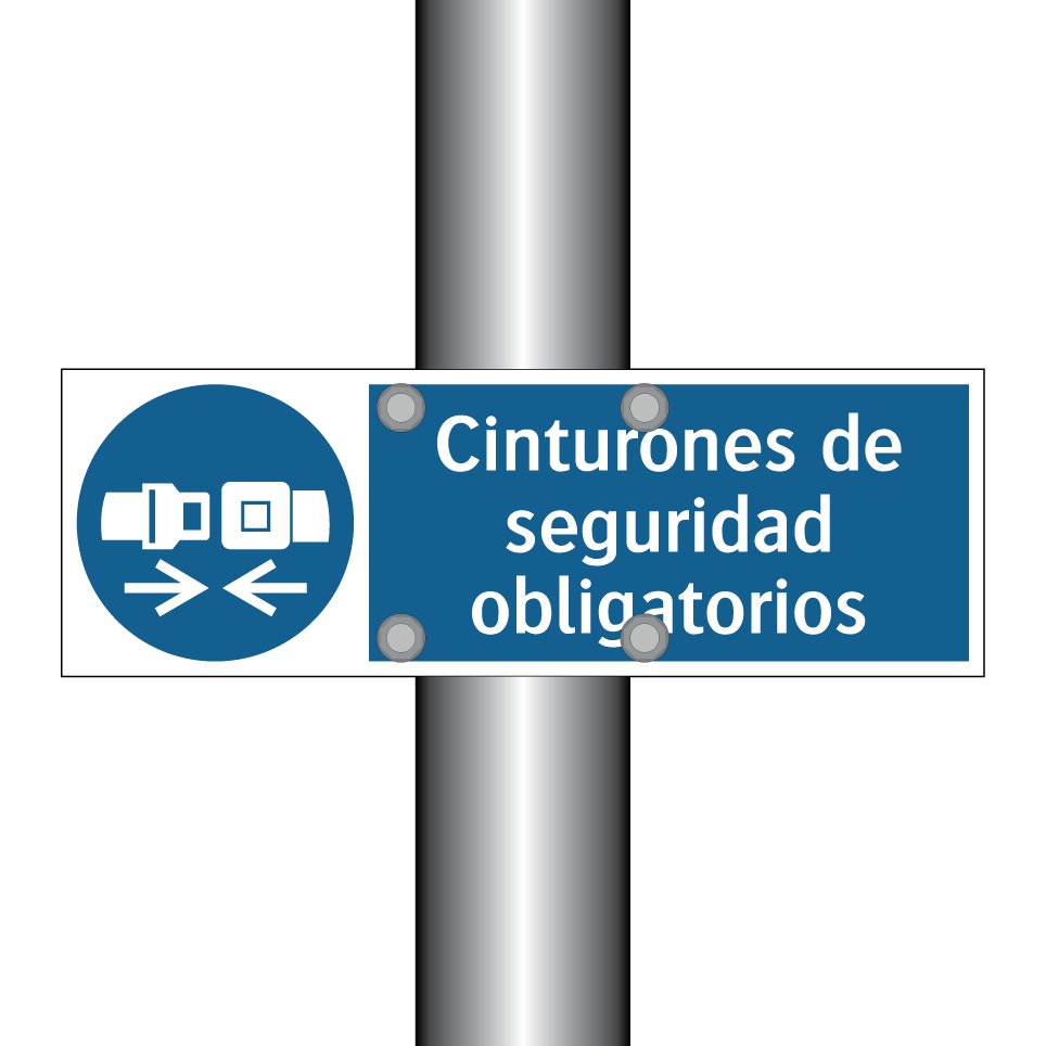 Cinturones de seguridad obligatorios