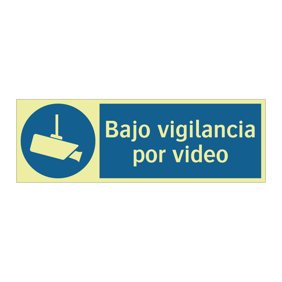 Bajo vigilancia por video