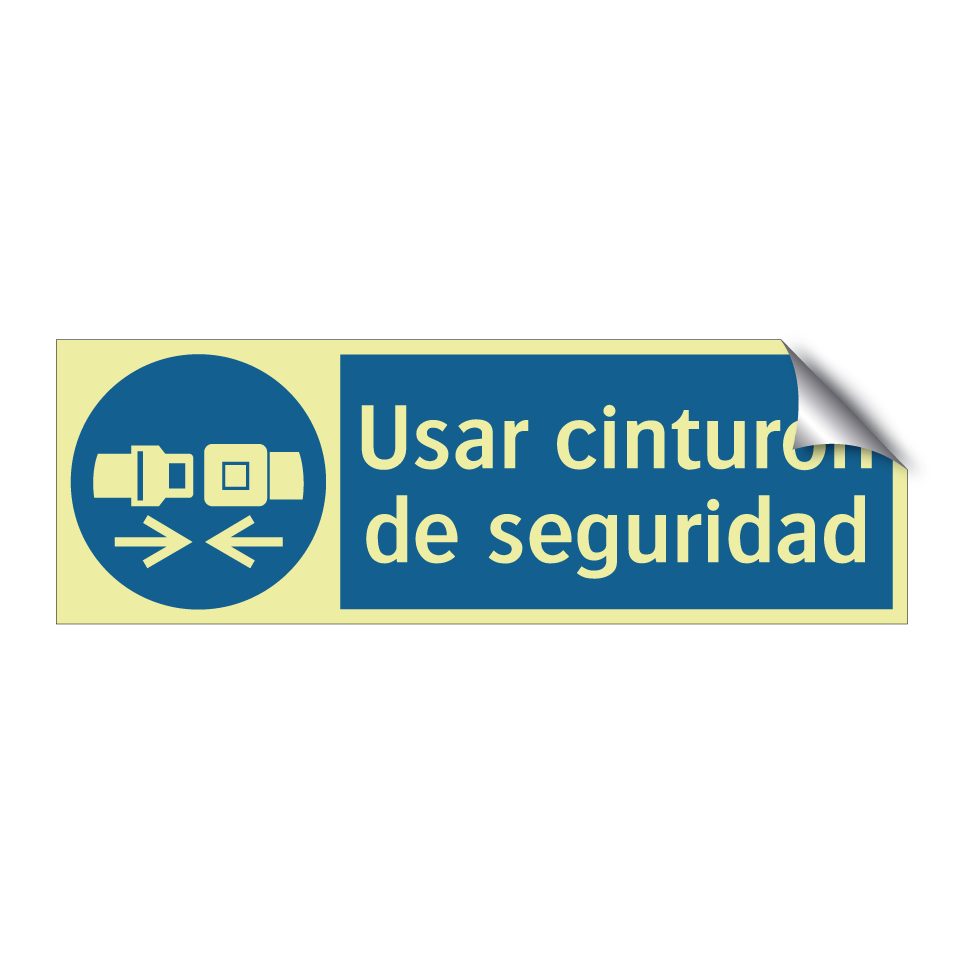 Usar cinturón de seguridad