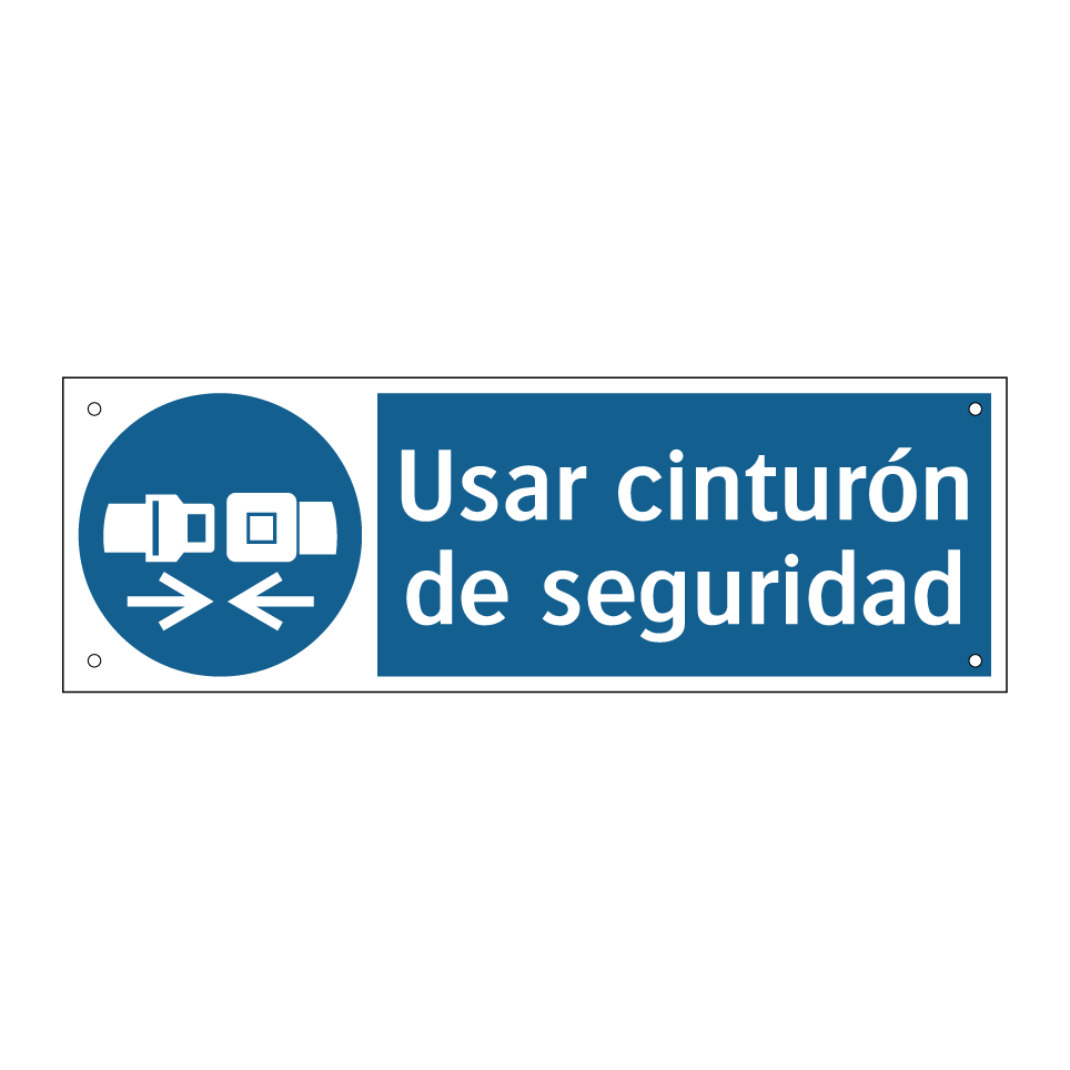 Usar cinturón de seguridad