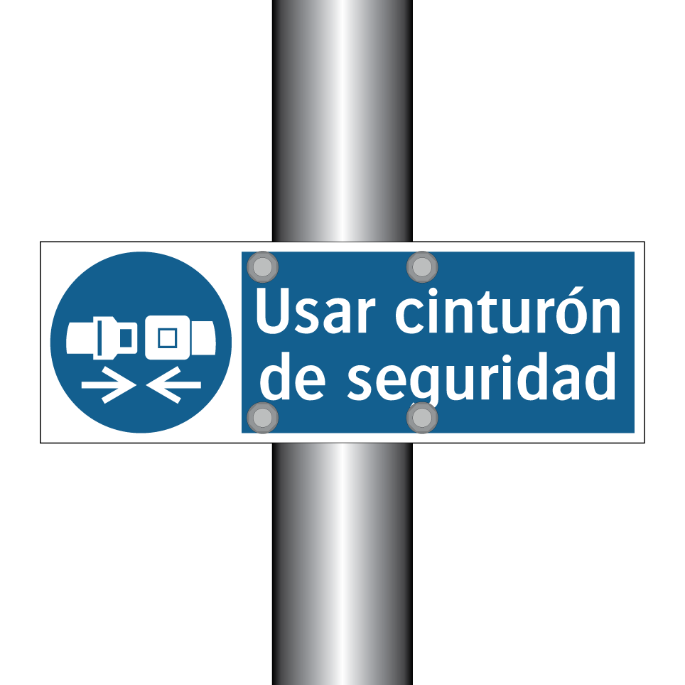 Usar cinturón de seguridad