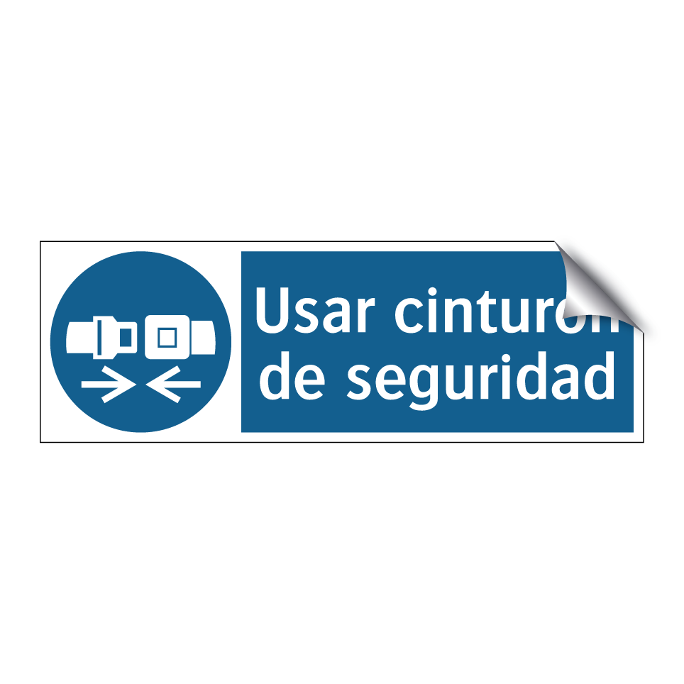 Usar cinturón de seguridad