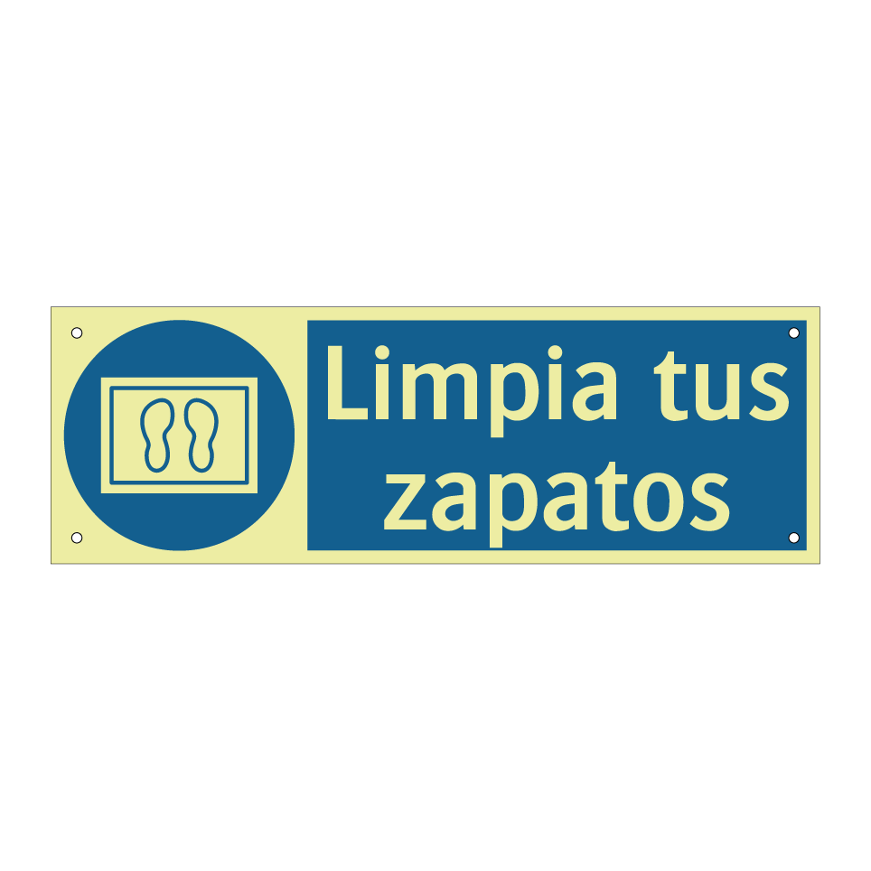 Limpia tus zapatos