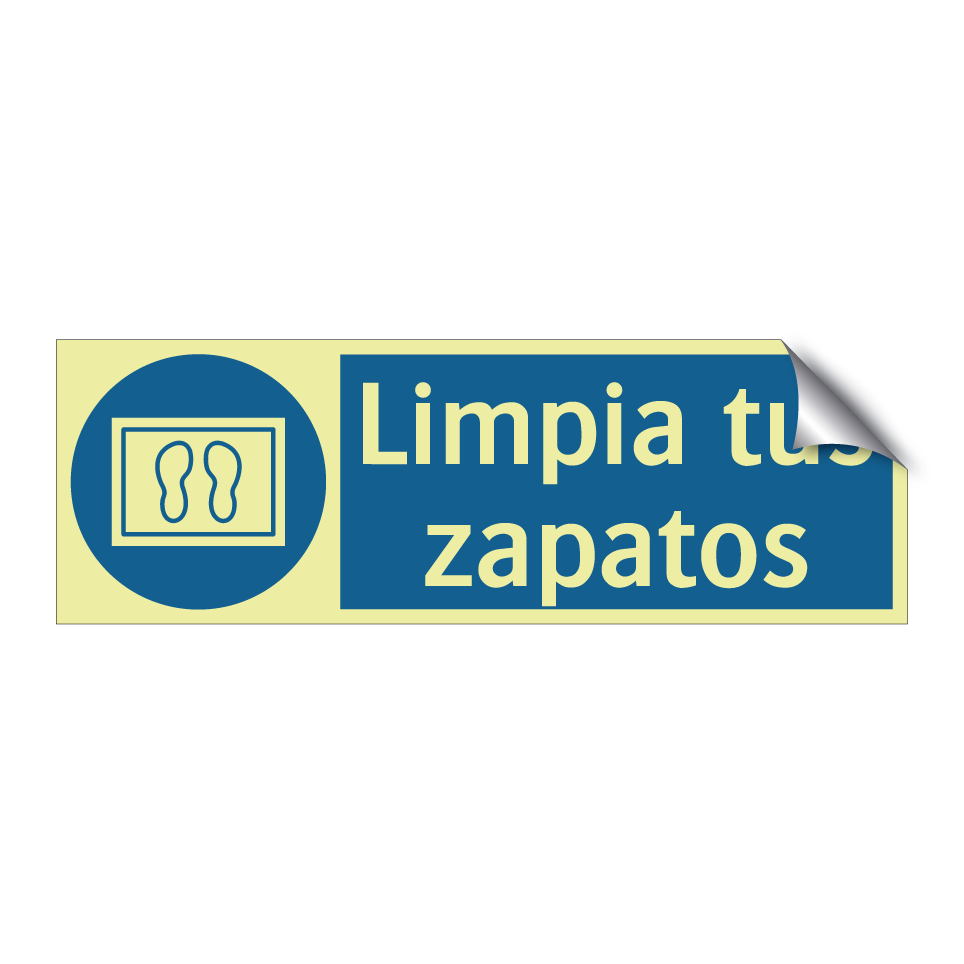 Limpia tus zapatos