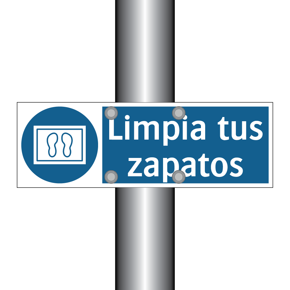 Limpia tus zapatos