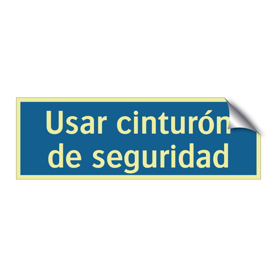 Usar cinturón de seguridad