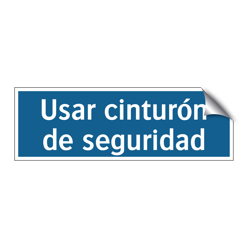 Usar cinturón de seguridad
