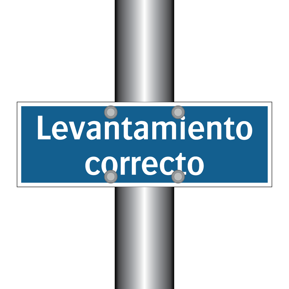Levantamiento correcto