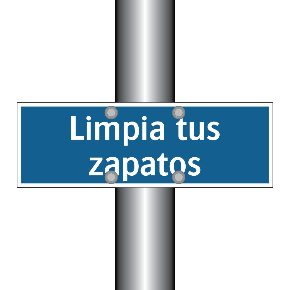 Limpia tus zapatos