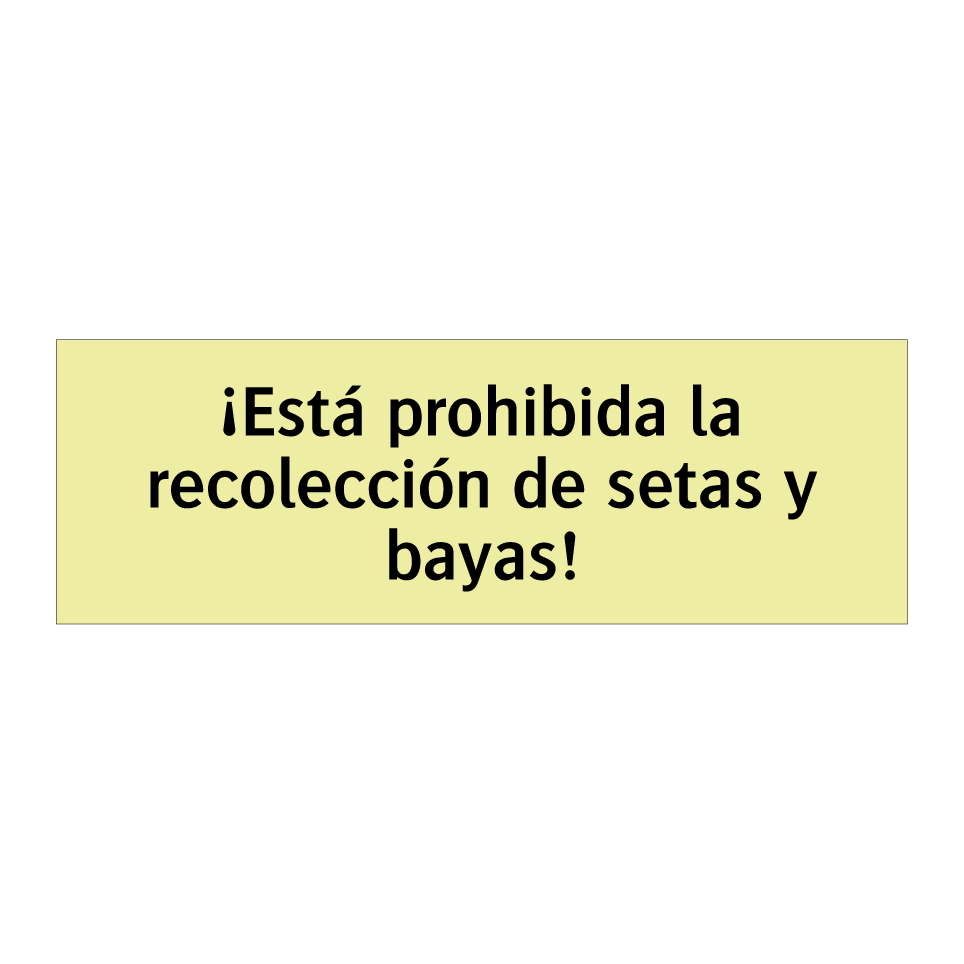 ¡Está prohibida la recolección de setas y bayas!