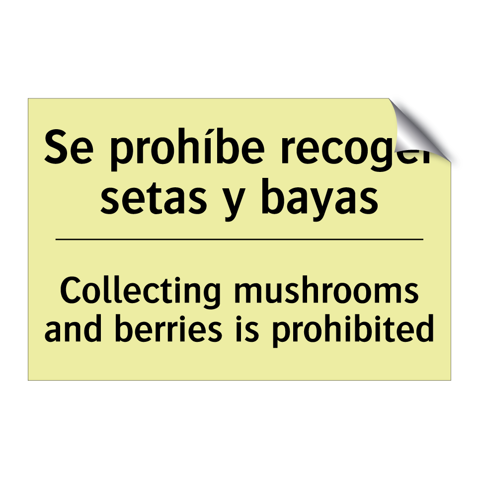 Se prohíbe recoger setas y bayas - Collecting mushrooms and berries is prohibited