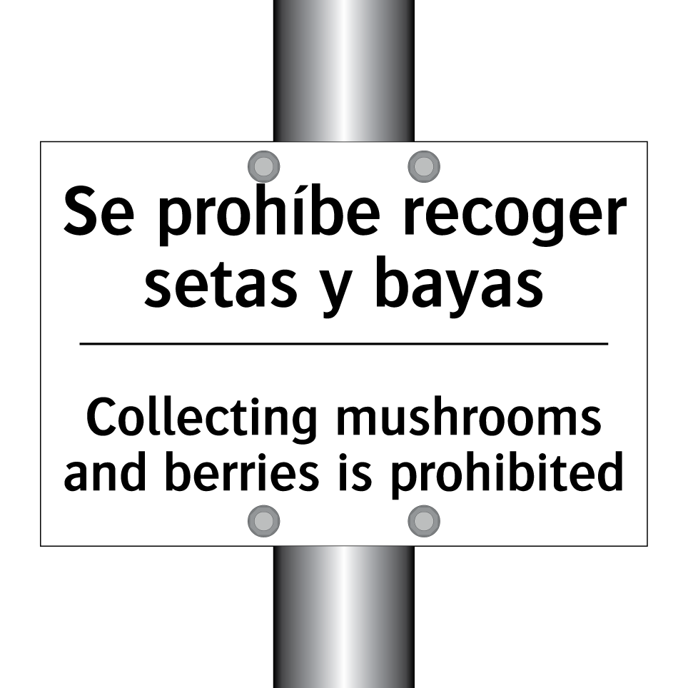 Se prohíbe recoger setas y bayas - Collecting mushrooms and berries is prohibited
