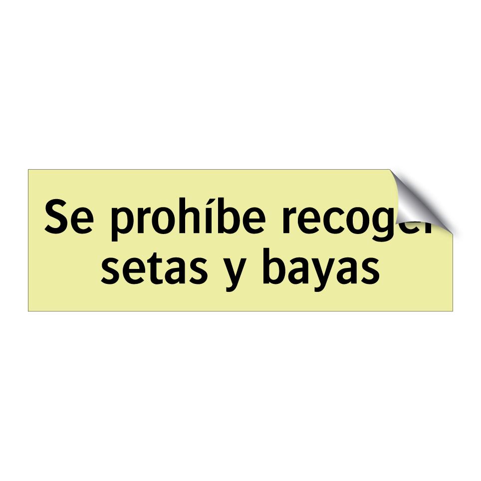 Se prohíbe recoger setas y bayas