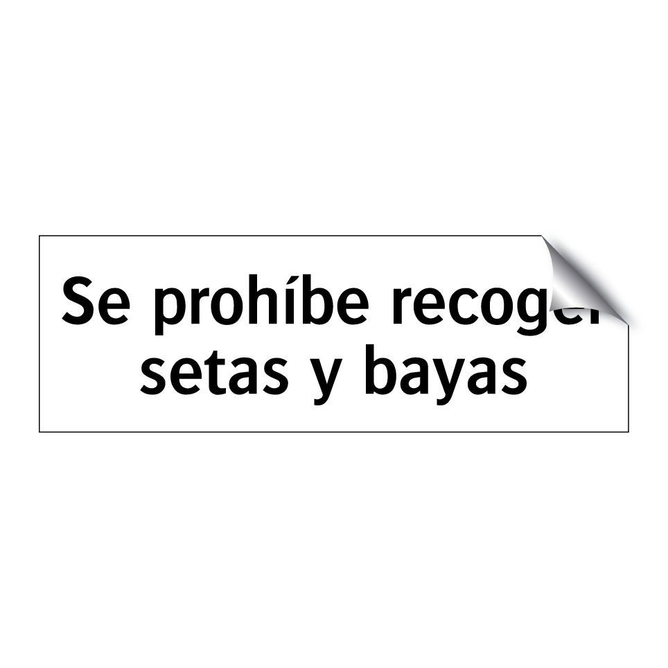 Se prohíbe recoger setas y bayas