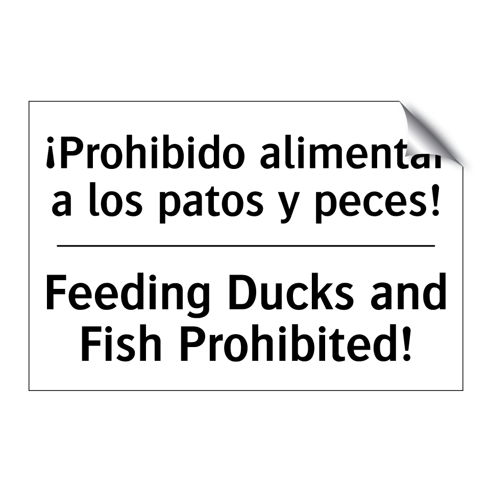 ¡Prohibido alimentar a los patos y peces! - Feeding Ducks and Fish Prohibited!