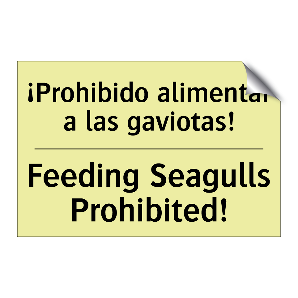 ¡Prohibido alimentar a las gaviotas! - Feeding Seagulls Prohibited!