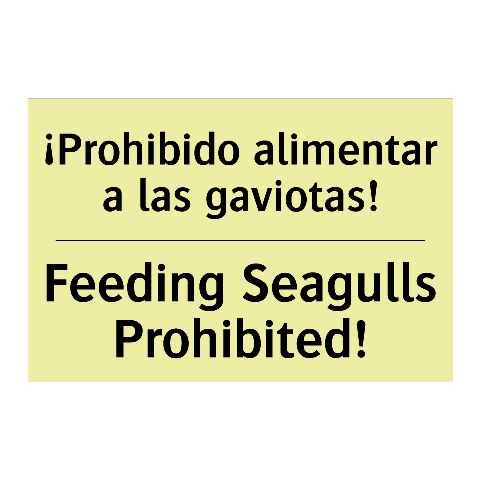 ¡Prohibido alimentar a las gaviotas! - Feeding Seagulls Prohibited!