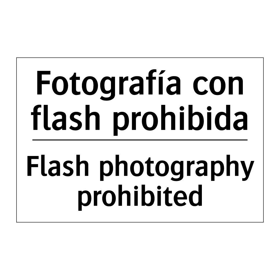 Fotografía con flash prohibida - Flash photography prohibited