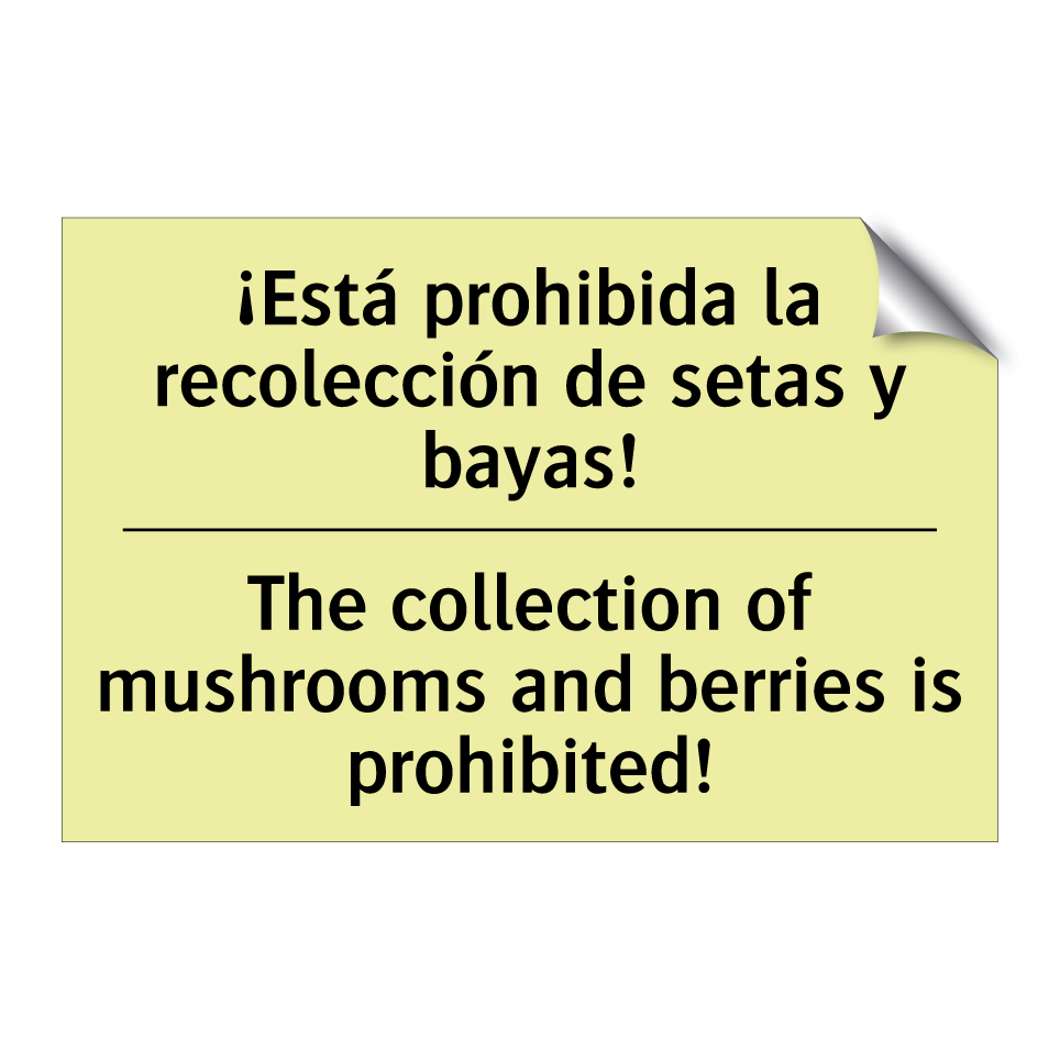 ¡Está prohibida la recolección de setas y bayas! - The collection of mushrooms and berries is prohibited!