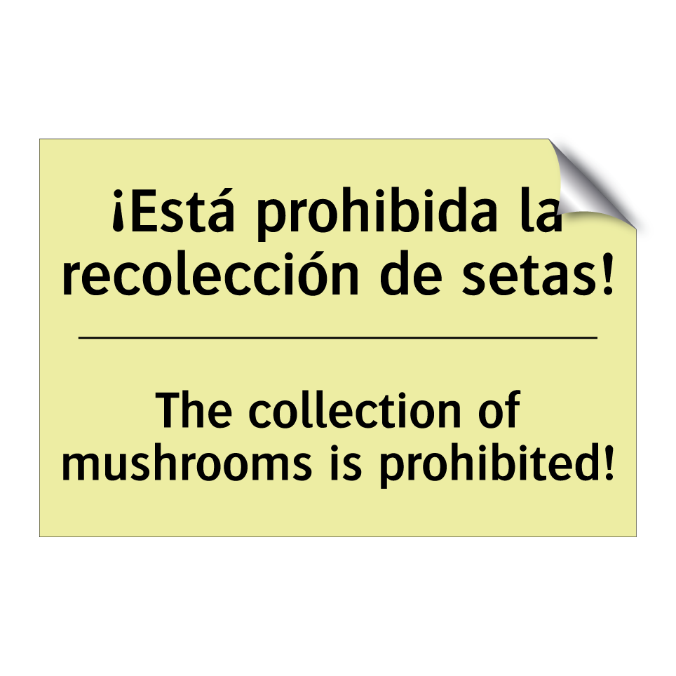 ¡Está prohibida la recolección de setas! - The collection of mushrooms is prohibited!