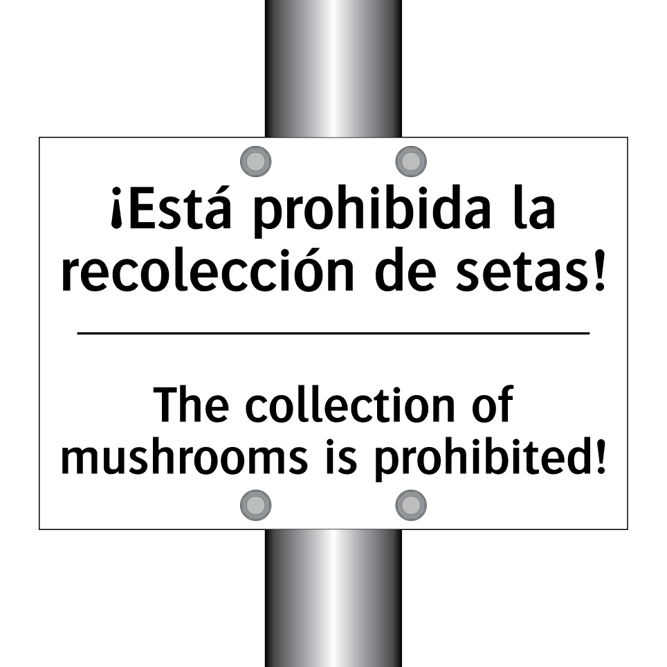 ¡Está prohibida la recolección de setas! - The collection of mushrooms is prohibited!