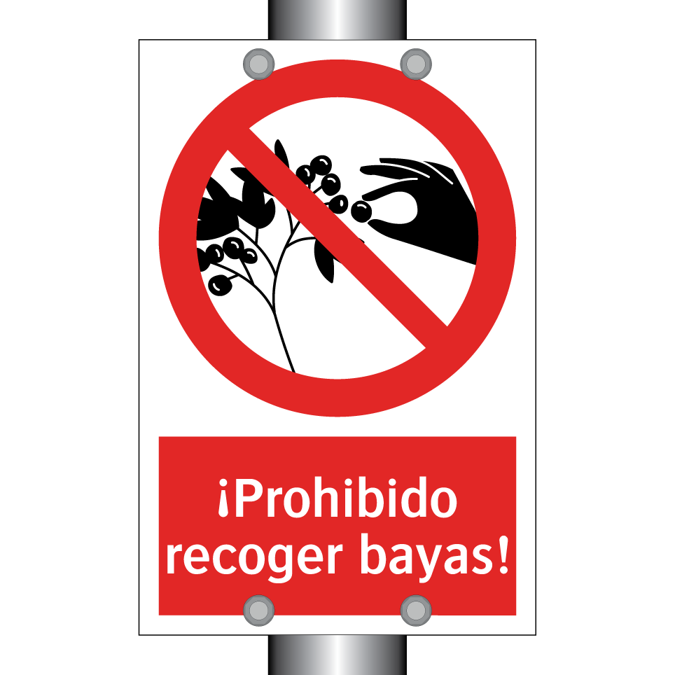 ¡Prohibido recoger bayas!